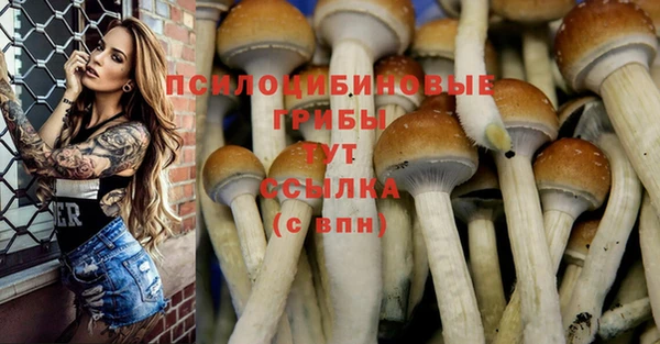 амф Михайлов